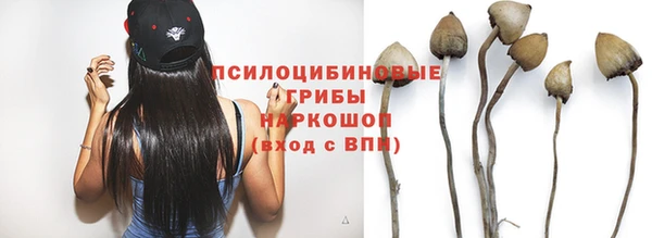не бодяженный Верхний Тагил