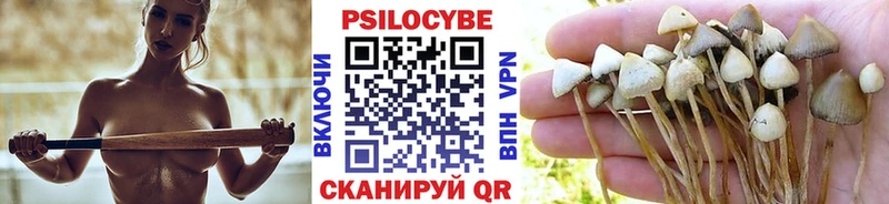 ссылка на мегу как зайти даркнет как зайти Нальчик Галлюциногенные грибы Cubensis купить